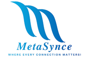 Meta Synce
